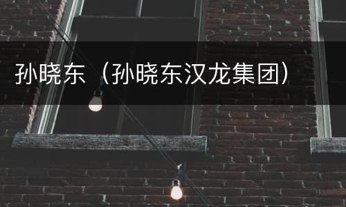 孙晓东（孙晓东汉龙集团）