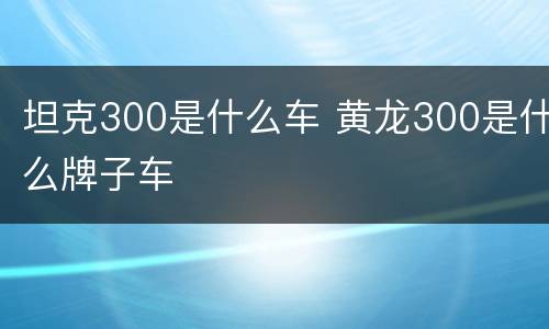 坦克300是什么车 黄龙300是什么牌子车
