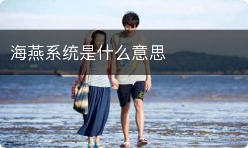 海燕系统是什么意思
