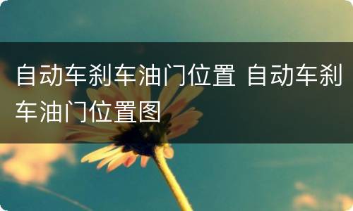 自动车刹车油门位置 自动车刹车油门位置图