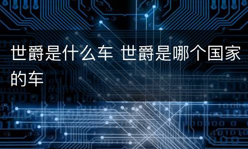 世爵是什么车 世爵是哪个国家的车