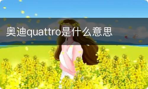 奥迪quattro是什么意思