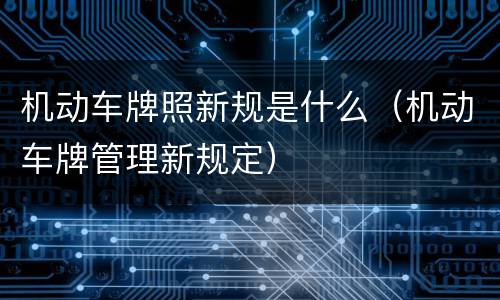 机动车牌照新规是什么（机动车牌管理新规定）