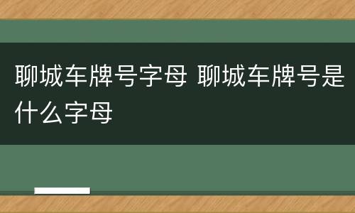 聊城车牌号字母 聊城车牌号是什么字母