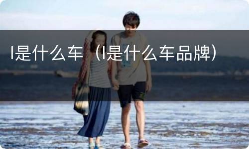 l是什么车（l是什么车品牌）