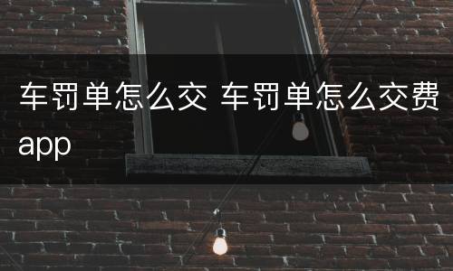车罚单怎么交 车罚单怎么交费app