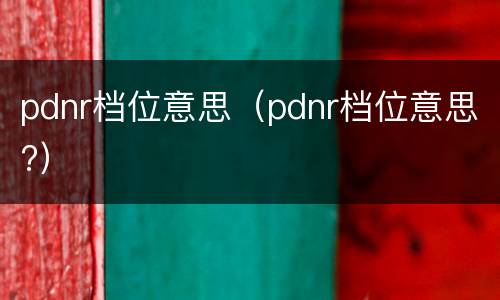 pdnr档位意思（pdnr档位意思?）