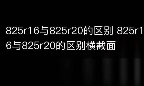 825r16与825r20的区别 825r16与825r20的区别横截面