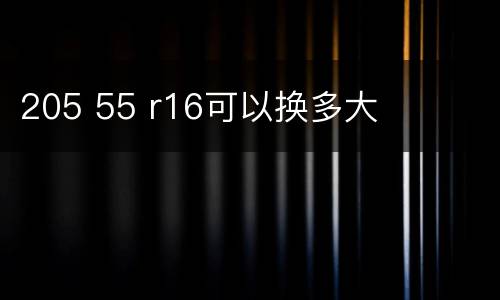 205 55 r16可以换多大