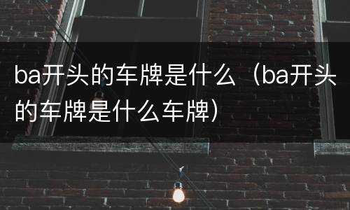 ba开头的车牌是什么（ba开头的车牌是什么车牌）