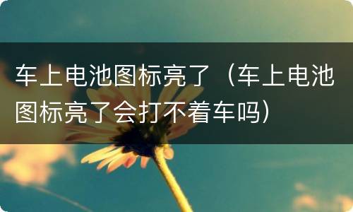 车上电池图标亮了（车上电池图标亮了会打不着车吗）
