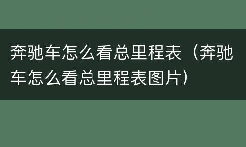 奔驰车怎么看总里程表（奔驰车怎么看总里程表图片）
