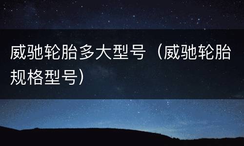 威驰轮胎多大型号（威驰轮胎规格型号）