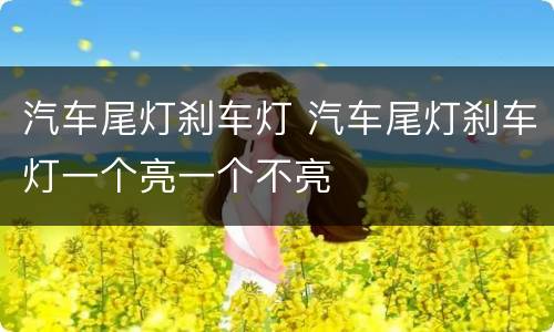 汽车尾灯刹车灯 汽车尾灯刹车灯一个亮一个不亮