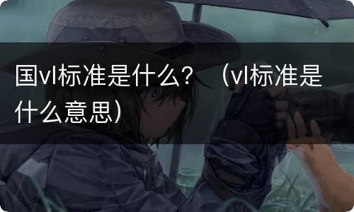 国vl标准是什么？（vl标准是什么意思）