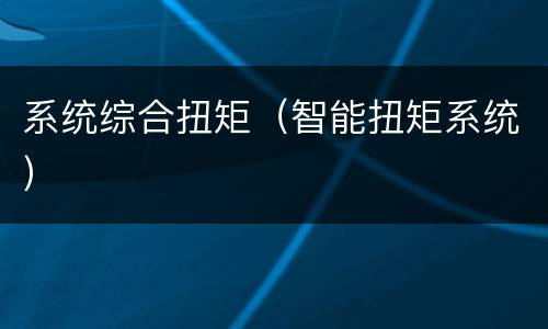 系统综合扭矩（智能扭矩系统）