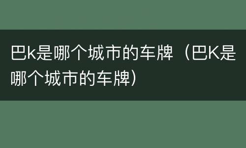 巴k是哪个城市的车牌（巴K是哪个城市的车牌）