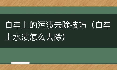 白车上的污渍去除技巧（白车上水渍怎么去除）