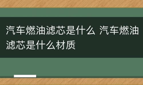 汽车燃油滤芯是什么 汽车燃油滤芯是什么材质