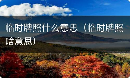 临时牌照什么意思（临时牌照啥意思）