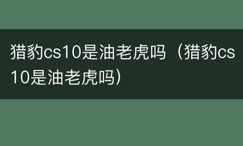 猎豹cs10是油老虎吗（猎豹cs10是油老虎吗）