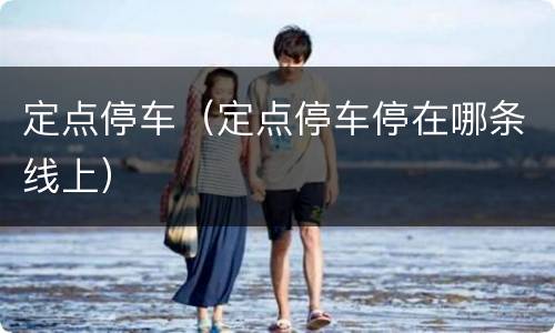 定点停车（定点停车停在哪条线上）