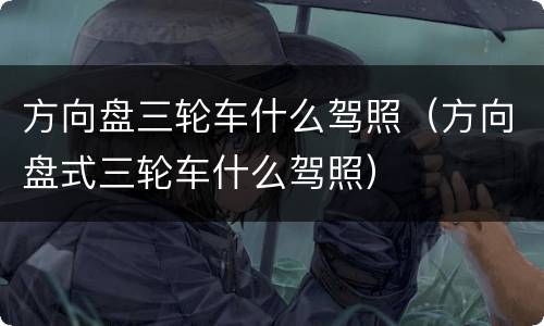 方向盘三轮车什么驾照（方向盘式三轮车什么驾照）