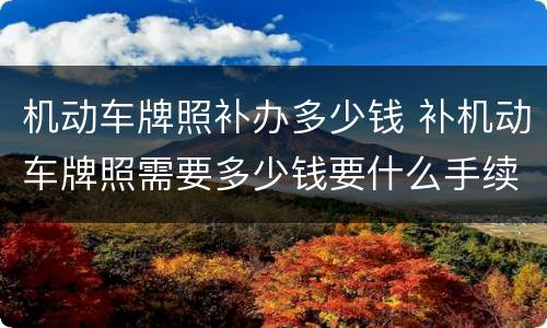 机动车牌照补办多少钱 补机动车牌照需要多少钱要什么手续