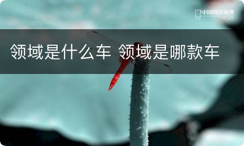 领域是什么车 领域是哪款车