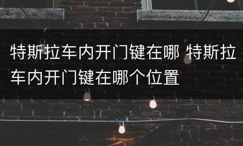 特斯拉车内开门键在哪 特斯拉车内开门键在哪个位置