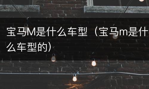 宝马M是什么车型（宝马m是什么车型的）