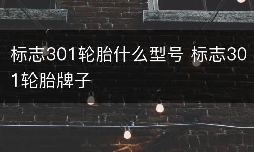标志301轮胎什么型号 标志301轮胎牌子