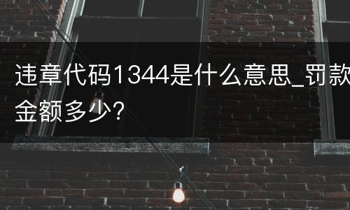 违章代码1344是什么意思_罚款金额多少?