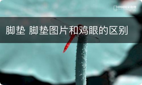 脚垫 脚垫图片和鸡眼的区别