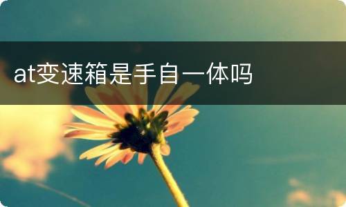 at变速箱是手自一体吗