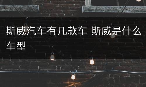 斯威汽车有几款车 斯威是什么车型