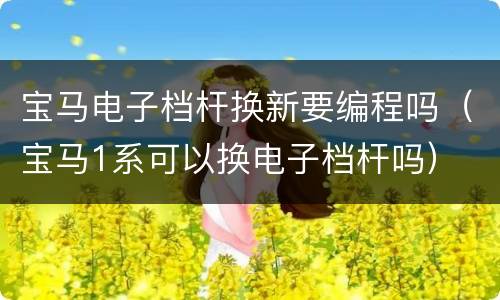 宝马电子档杆换新要编程吗（宝马1系可以换电子档杆吗）