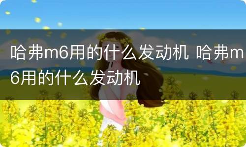 哈弗m6用的什么发动机 哈弗m6用的什么发动机