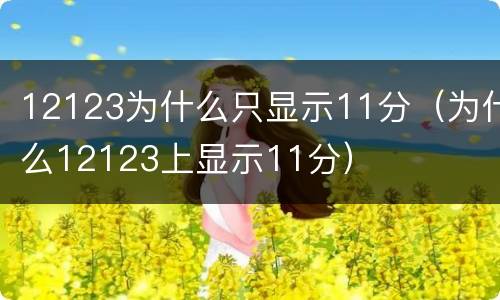 12123为什么只显示11分（为什么12123上显示11分）