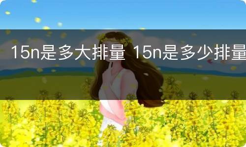 15n是多大排量 15n是多少排量