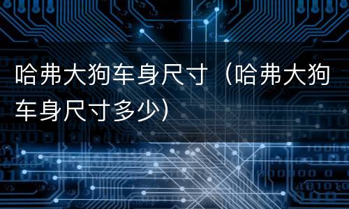 哈弗大狗车身尺寸（哈弗大狗车身尺寸多少）