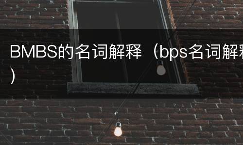 BMBS的名词解释（bps名词解释）