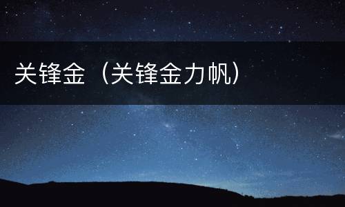 关锋金（关锋金力帆）