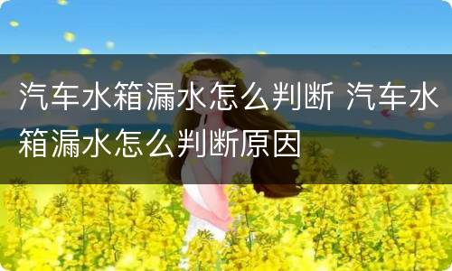 汽车水箱漏水怎么判断 汽车水箱漏水怎么判断原因