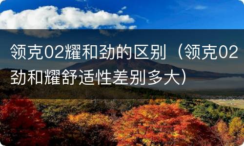 领克02耀和劲的区别（领克02劲和耀舒适性差别多大）