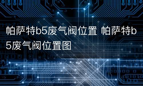 帕萨特b5废气阀位置 帕萨特b5废气阀位置图