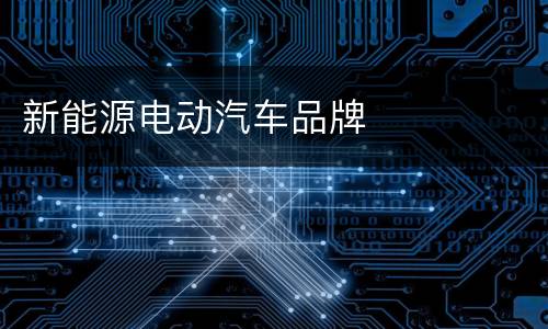 新能源电动汽车品牌