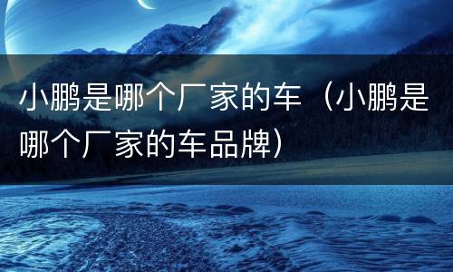 小鹏是哪个厂家的车（小鹏是哪个厂家的车品牌）