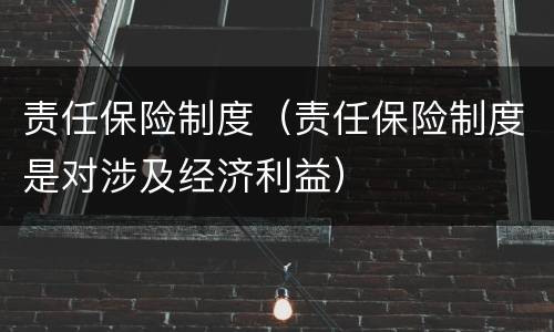 责任保险制度（责任保险制度是对涉及经济利益）