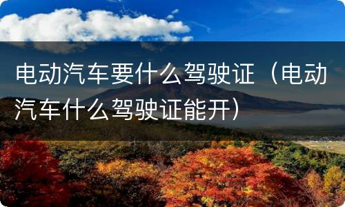 电动汽车要什么驾驶证（电动汽车什么驾驶证能开）
